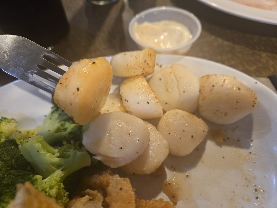 Scallops